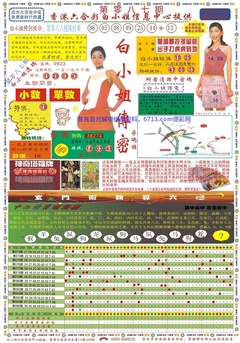 白小姐祺袍A